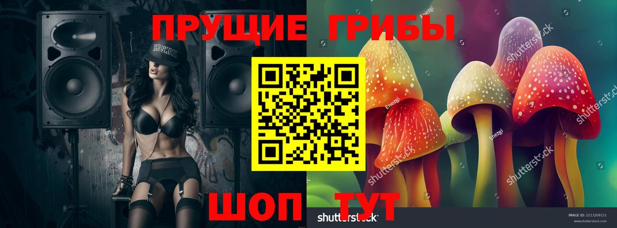 Щёлково  сколько стоит  Вход с VPN  Псилоцибиновые грибы Psilocybe  Псилоцибиновые грибы GOLDEN TEACHER 